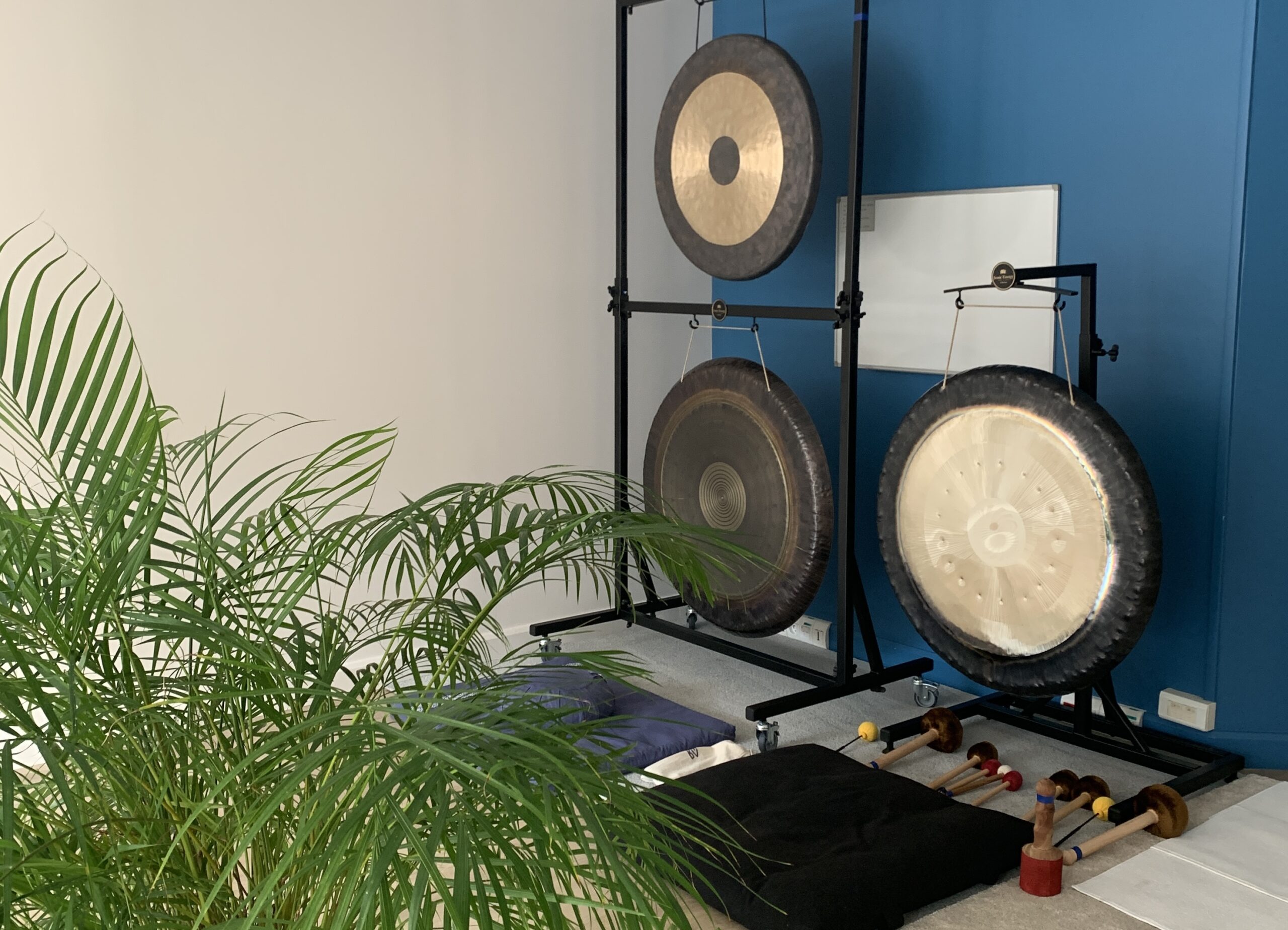 IMG_1262 2 Les GONGS