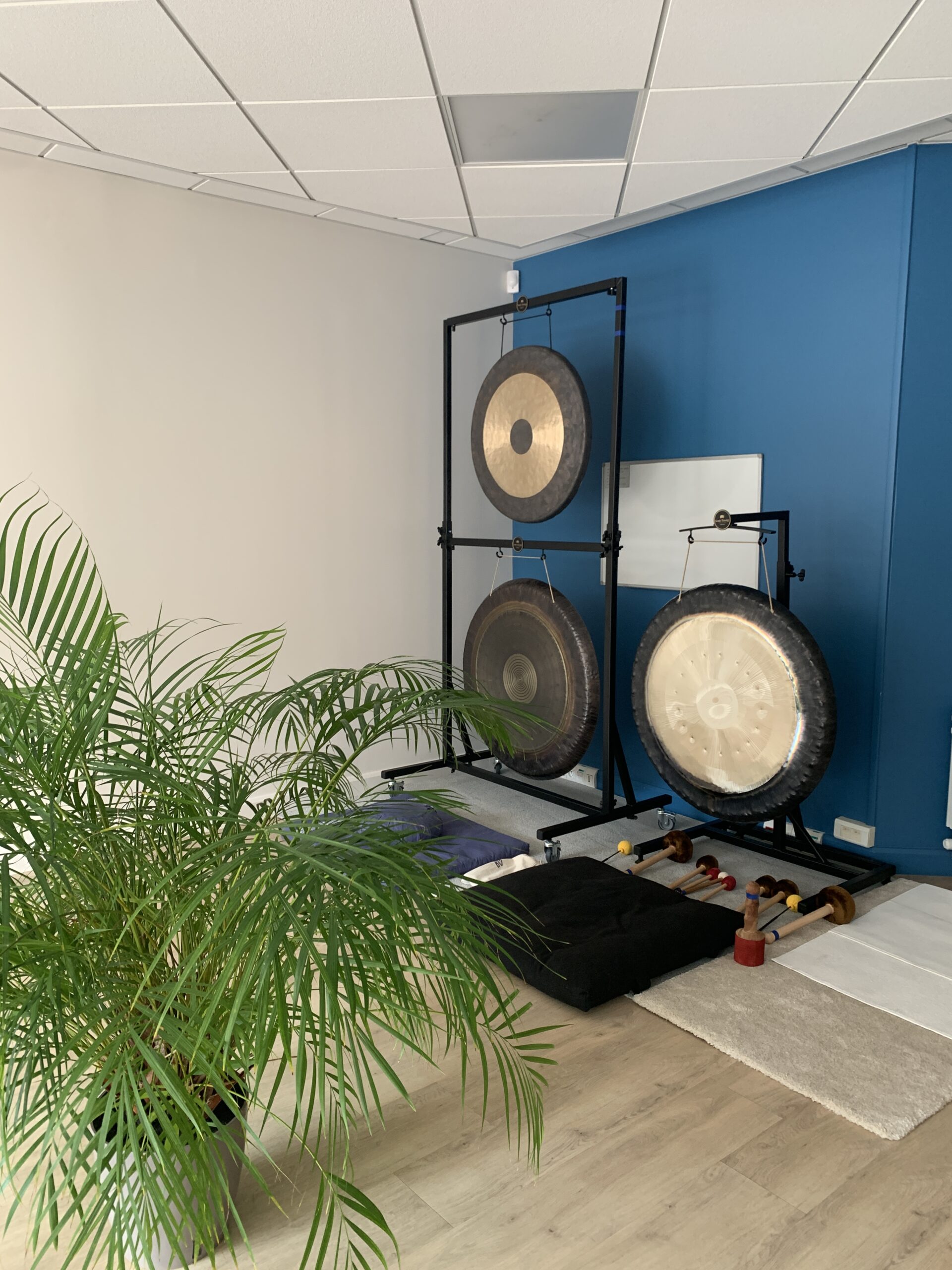 Les GONGS